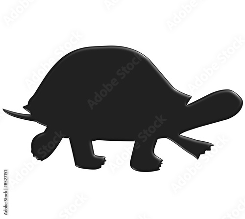 Tortue