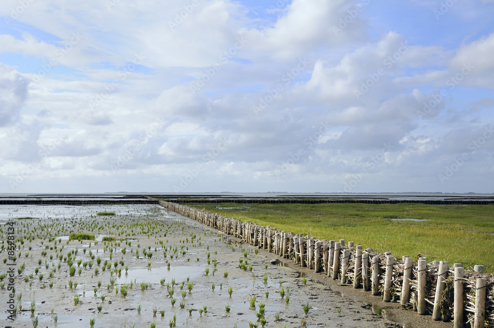 Im Wattenmeer