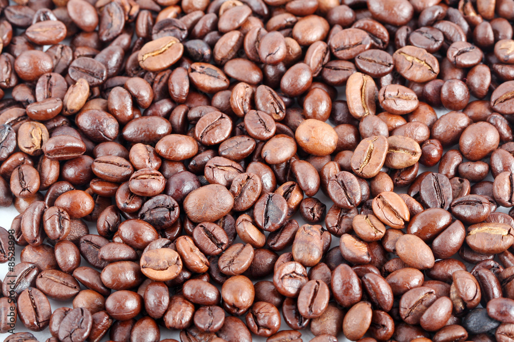 Coffee Coffee