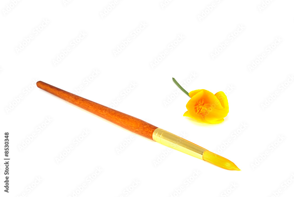 Paintbrush and flowers Paintbrush and flowers
