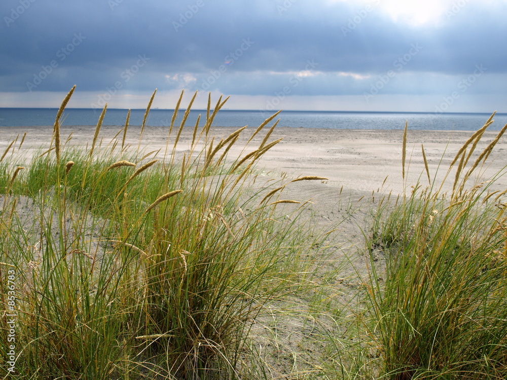 desolate beach desolate beach