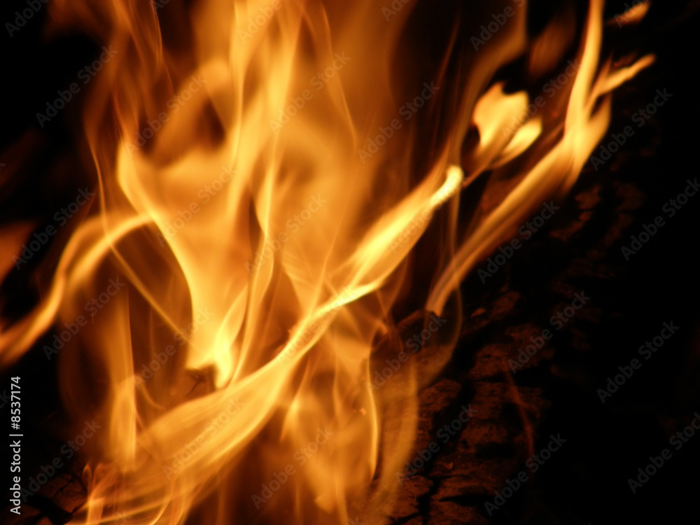 Fototapeta premium Flames or fire