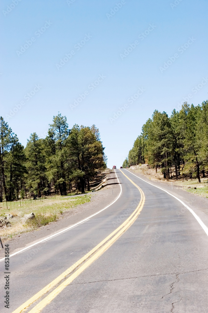 Road to forest Road to forest
