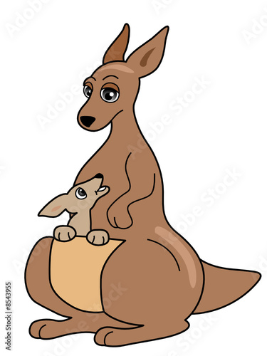Kangaroo