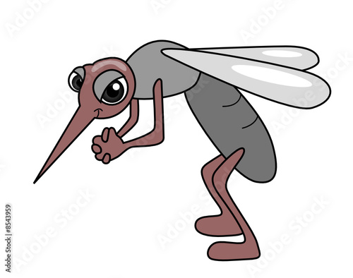 Mosquito