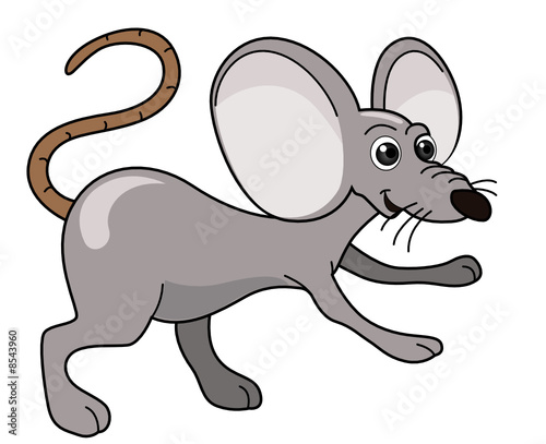 Mouse