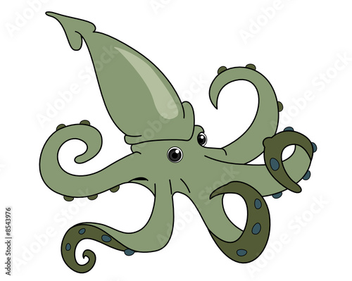 Squid
