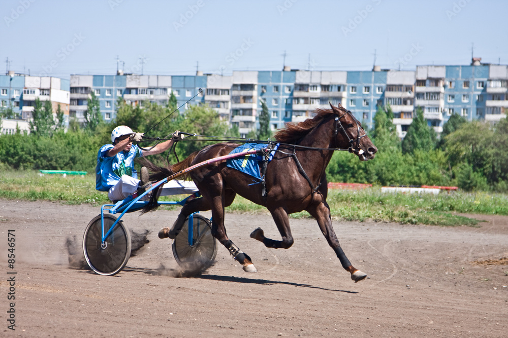 Horse racing Horse racing