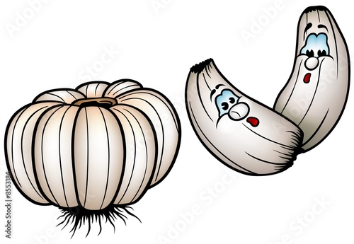 Garlic - colored cartoon illustration