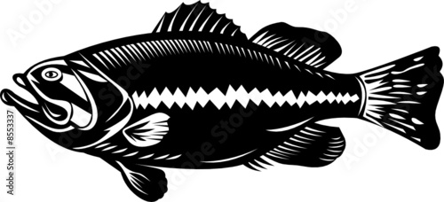 Largemouth bass