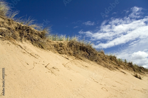 Grassy sand dunes