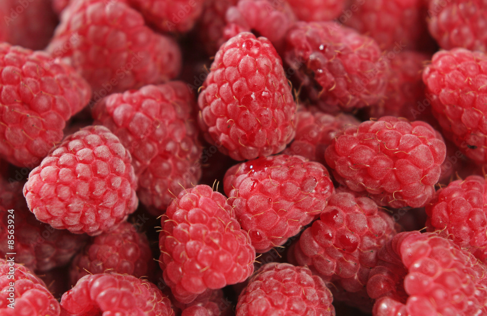 Himbeeren Himbeeren