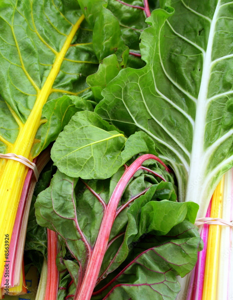 Fresh Swish Chard