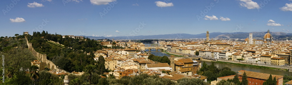 Panorama of Florence cross processed