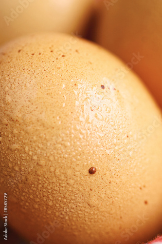 Close up of a brown eggs