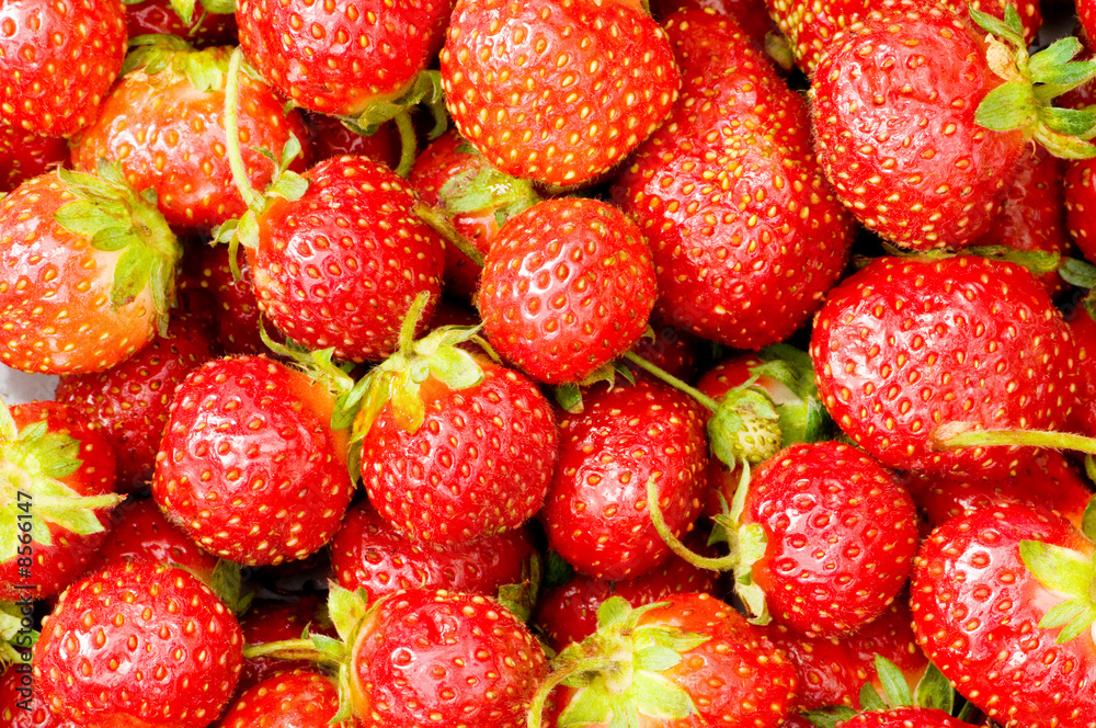 Lots of strawberries arranged as the background Lots of strawberries arranged as the background