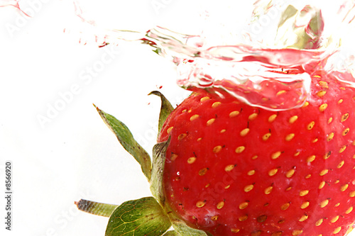 strawberry photo