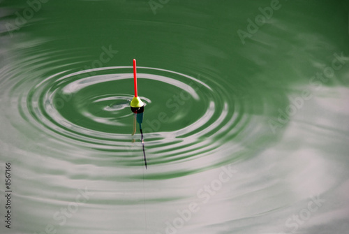 bobber in green waves horizontal