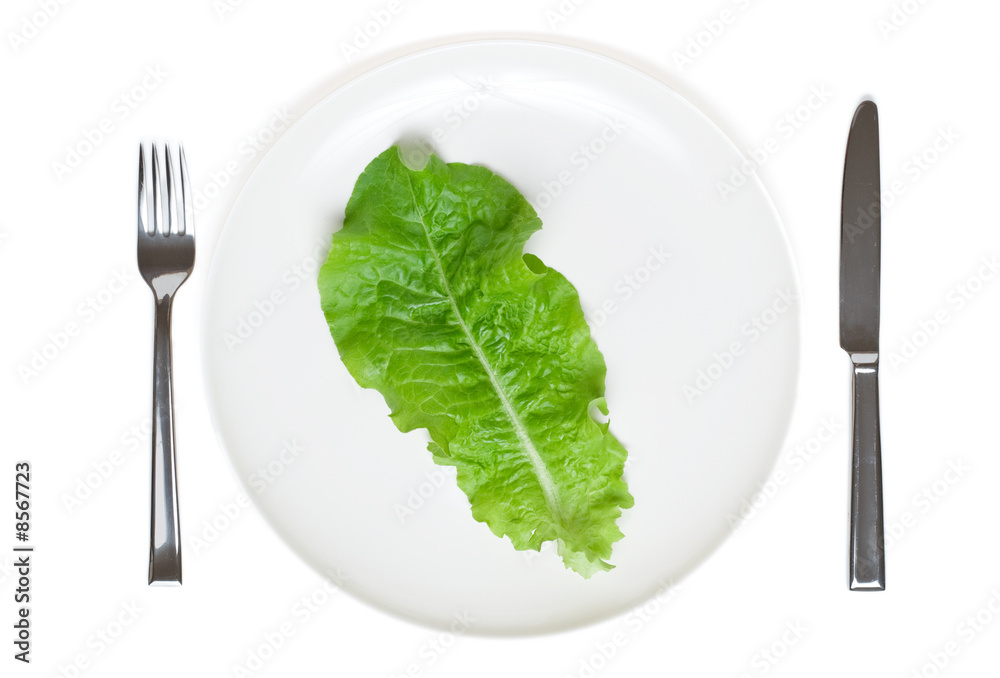 single lettuce leaf on a plate single lettuce leaf on a plate