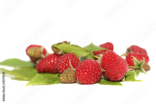 Ruspberries