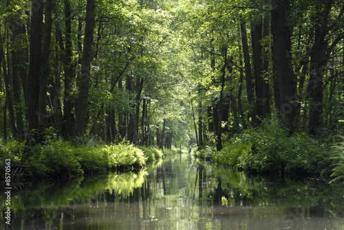 Spreewald © THL