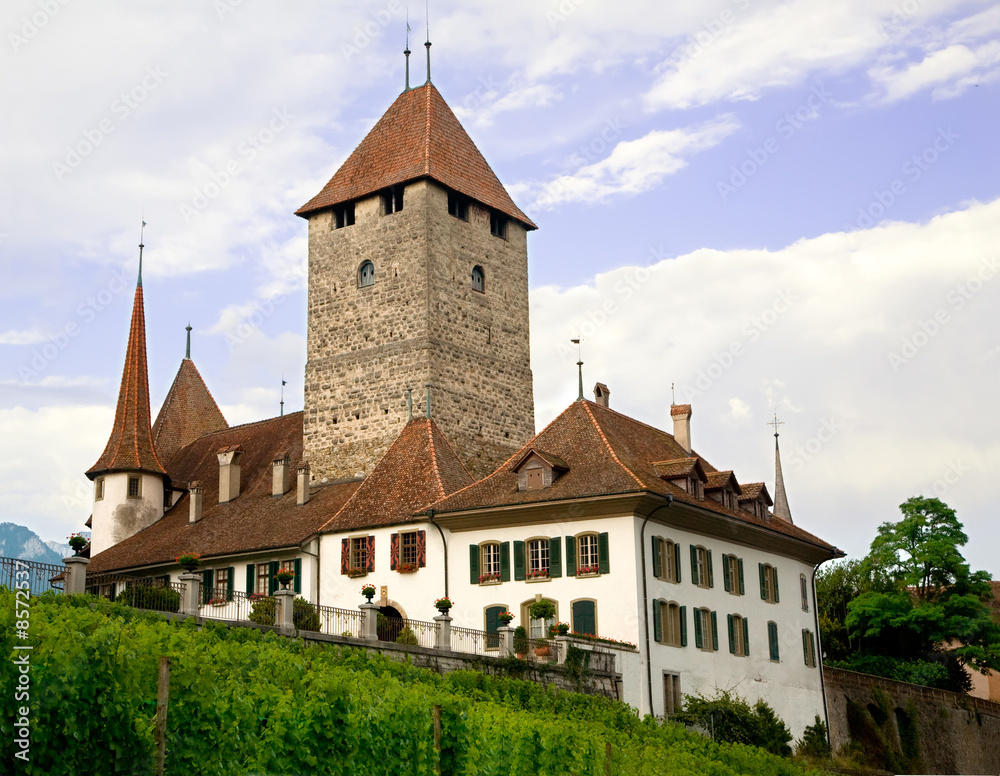 Spiez Castle, Bern Canton, Switzerland