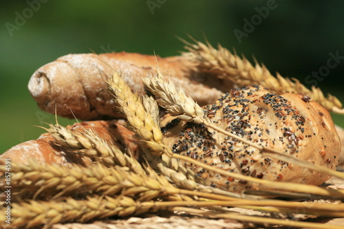 Pastry and corn