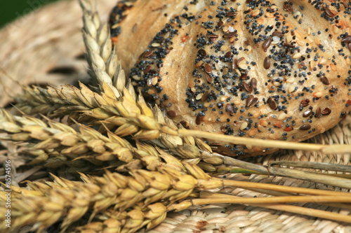 Pastry and corn