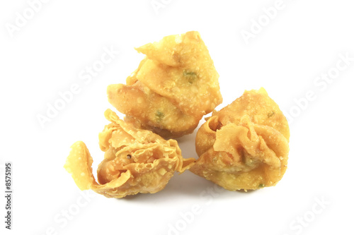 Fried Wanton Chinese Dumplings