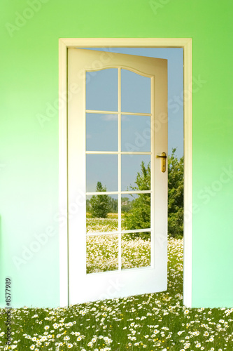 the meadow and open door