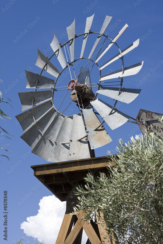 Western windmill with vegetation