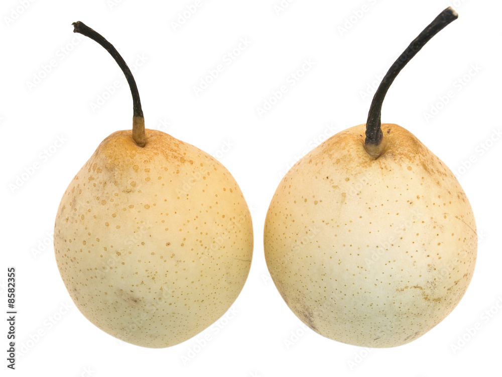 Two isolated yellow pears against the white background Two isolated yellow pears against the white background