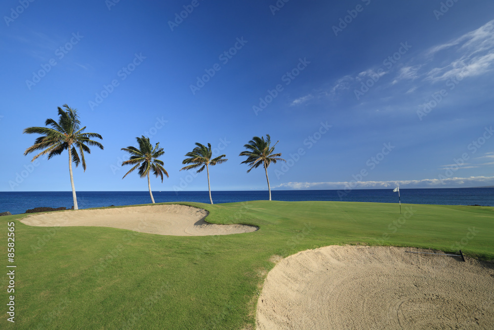 Hawaii Golf Course, Kona Island
