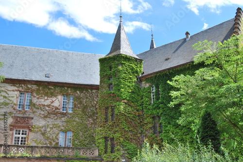 Schloss photo
