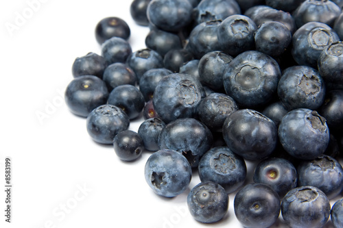 Blueberry fruits isolated on white