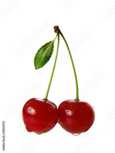 Cherry