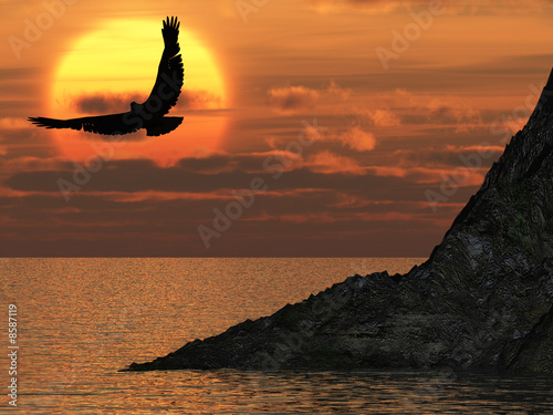 eagle and fantastic sunset © Olga Galushko