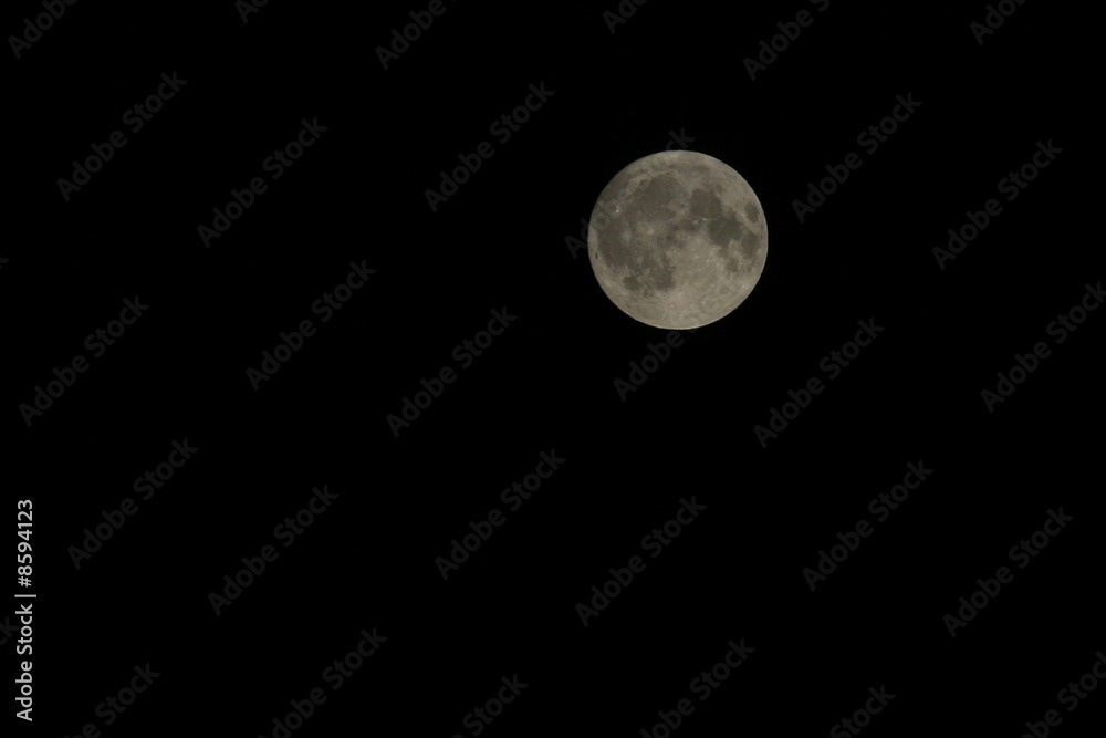Full Moon Full Moon