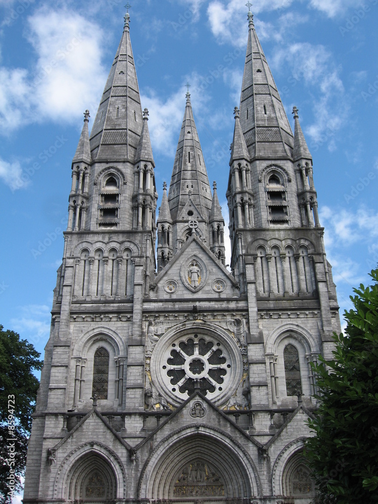cathédrale de cork (irlande)