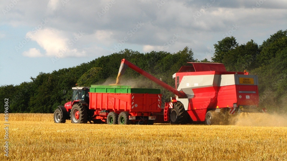 Fototapeta premium Tracteur et moissonneuse rouge