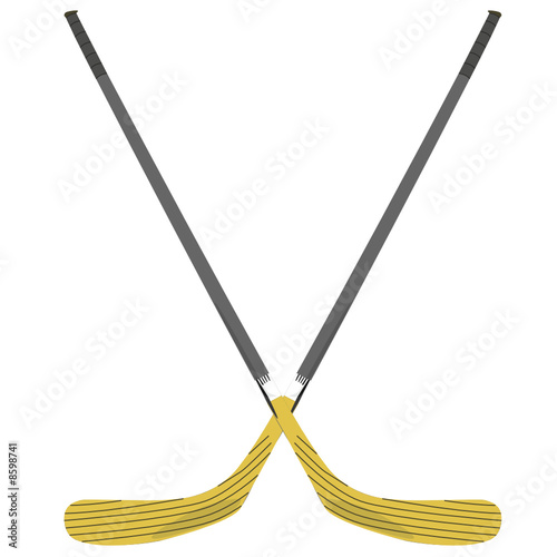 Hockey sticks