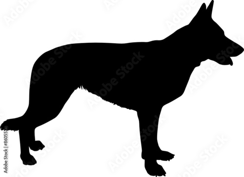 hund