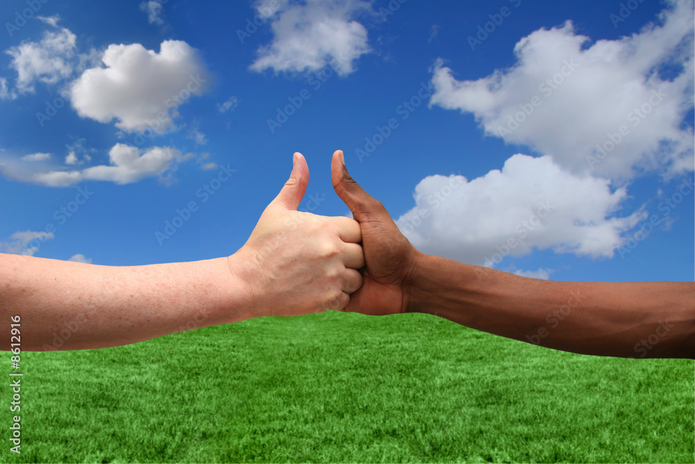 Two Ethnicities Agreeing on One Idea Two Ethnicities Agreeing on One Idea