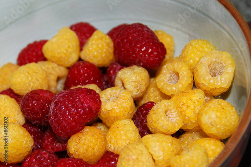 red and gold raspberries