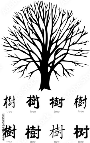 tree vector with chinese word and english translation