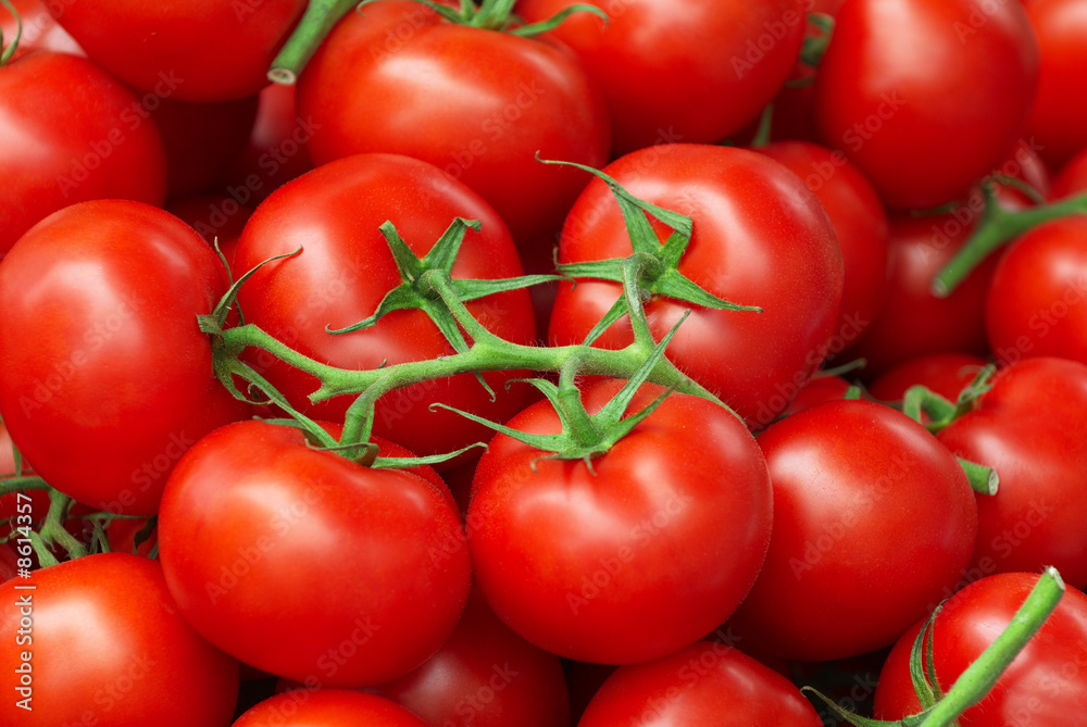 Fresh tomatoes Fresh tomatoes