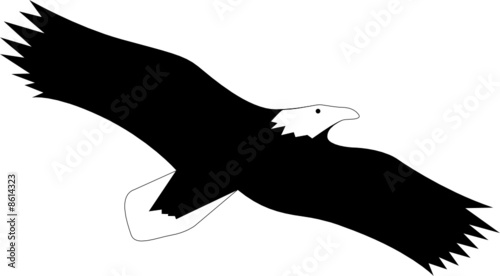 Adler