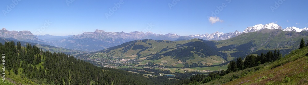 Panorama vu de l'Alpette à Megève en été