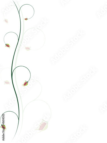 Elegant rose background