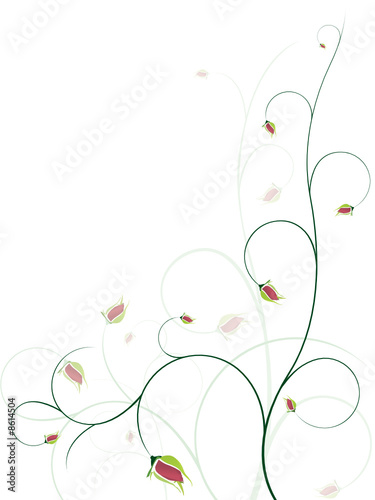 Elegant floral background